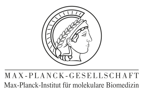 Max-Planck-Institut für molekulare Biomedizin